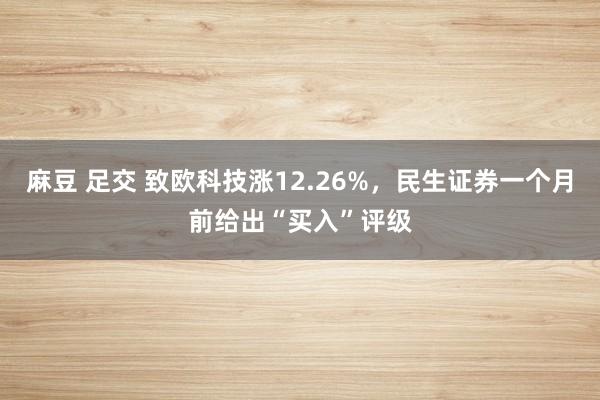 麻豆 足交 致欧科技涨12.26%，民生证券一个月前给出“买入”评级