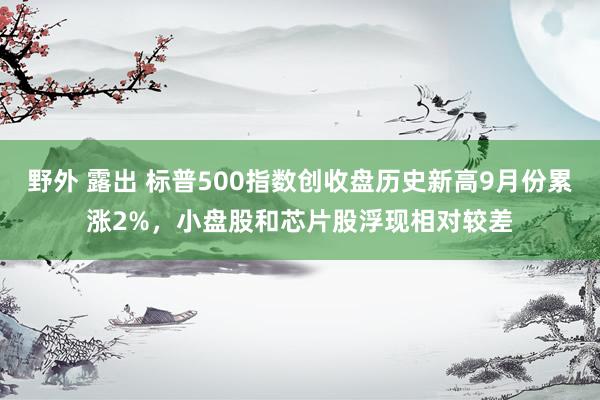 野外 露出 标普500指数创收盘历史新高9月份累涨2%，小盘股和芯片股浮现相对较差