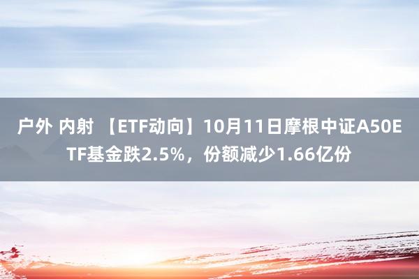 户外 内射 【ETF动向】10月11日摩根中证A50ETF基金跌2.5%，份额减少1.66亿份