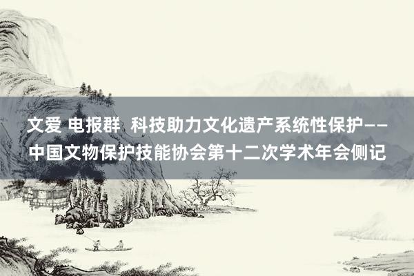 文爱 电报群  科技助力文化遗产系统性保护——中国文物保护技能协会第十二次学术年会侧记