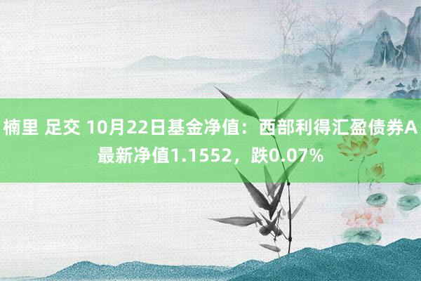 楠里 足交 10月22日基金净值：西部利得汇盈债券A最新净值1.1552，跌0.07%