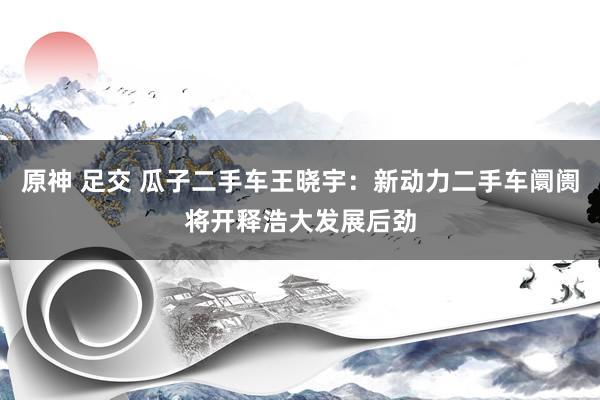 原神 足交 瓜子二手车王晓宇：新动力二手车阛阓将开释浩大发展后劲