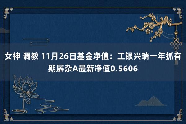 女神 调教 11月26日基金净值：工银兴瑞一年抓有期羼杂A最新净值0.5606