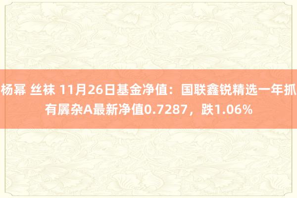 杨幂 丝袜 11月26日基金净值：国联鑫锐精选一年抓有羼杂A最新净值0.7287，跌1.06%