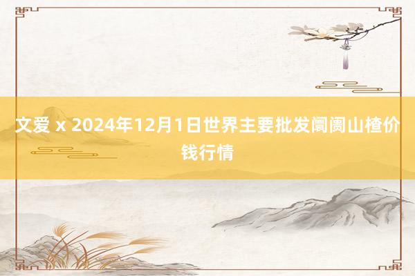 文爱 x 2024年12月1日世界主要批发阛阓山楂价钱行情