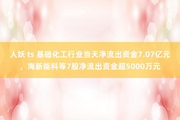 人妖 ts 基础化工行业当天净流出资金7.07亿元，海新能科等7股净流出资金超5000万元