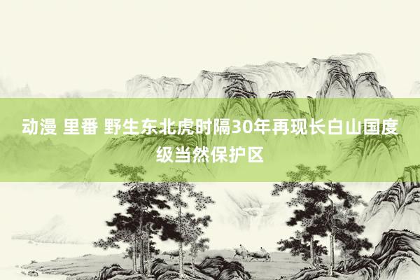 动漫 里番 野生东北虎时隔30年再现长白山国度级当然保护区