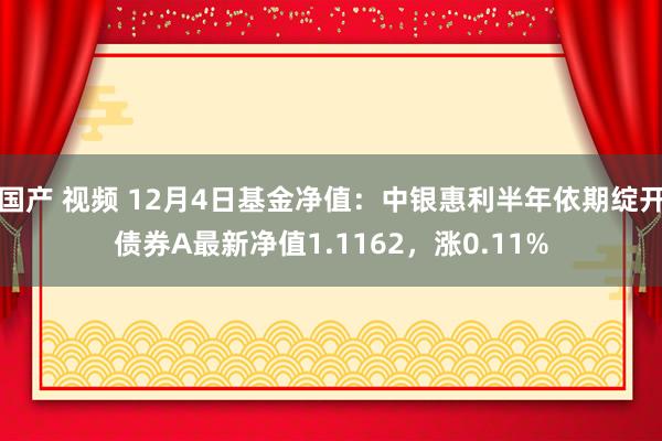 国产 视频 12月4日基金净值：中银惠利半年依期绽开债券A最新净值1.1162，涨0.11%