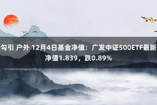 勾引 户外 12月4日基金净值：广发中证500ETF最新净值1.839，跌0.89%