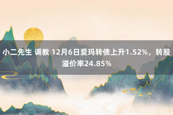 小二先生 调教 12月6日爱玛转债上升1.52%，转股溢价率24.85%