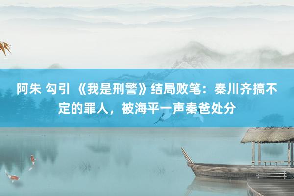 阿朱 勾引 《我是刑警》结局败笔：秦川齐搞不定的罪人，被海平一声秦爸处分