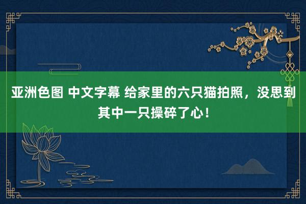 亚洲色图 中文字幕 给家里的六只猫拍照，没思到其中一只操碎了心！