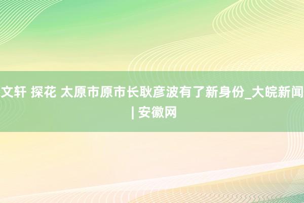 文轩 探花 太原市原市长耿彦波有了新身份_大皖新闻 | 安徽网