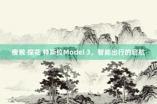 瘦猴 探花 特斯拉Model 3，智能出行的启航