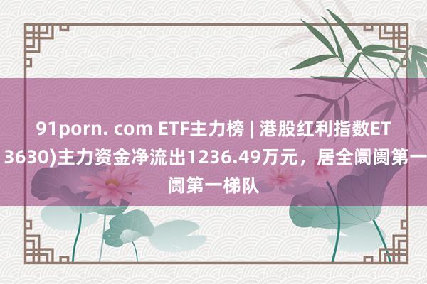 91porn. com ETF主力榜 | 港股红利指数ETF(513630)主力资金净流出1236.49万元，居全阛阓第一梯队