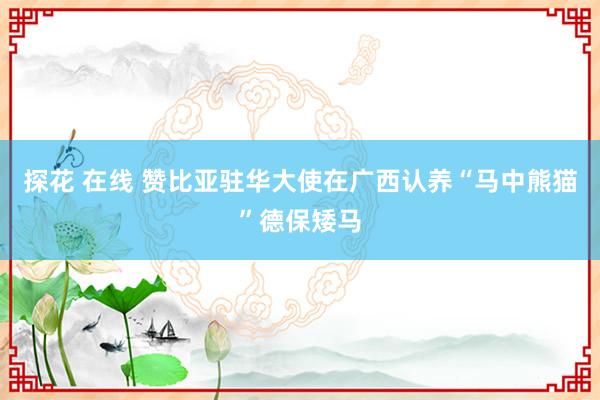 探花 在线 赞比亚驻华大使在广西认养“马中熊猫”德保矮马