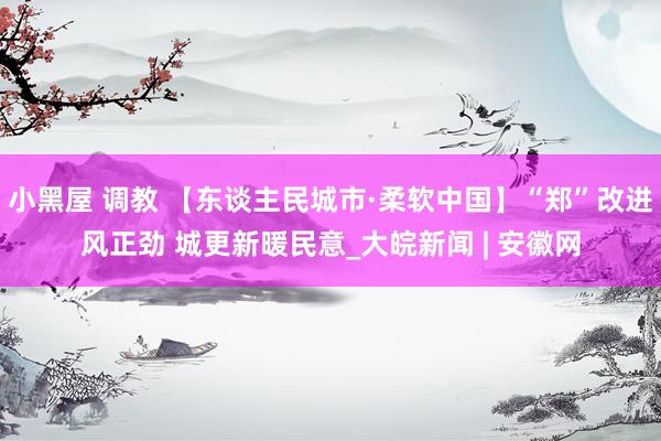 小黑屋 调教 【东谈主民城市·柔软中国】“郑”改进风正劲 城更新暖民意_大皖新闻 | 安徽网