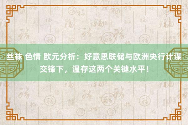 丝袜 色情 欧元分析：好意思联储与欧洲央行计谋交锋下，温存这两个关键水平！