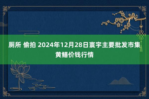 厕所 偷拍 2024年12月28日寰宇主要批发市集黄鳝价钱行情