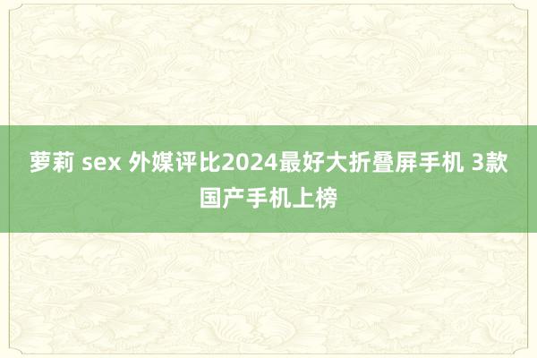 萝莉 sex 外媒评比2024最好大折叠屏手机 3款国产手机上榜