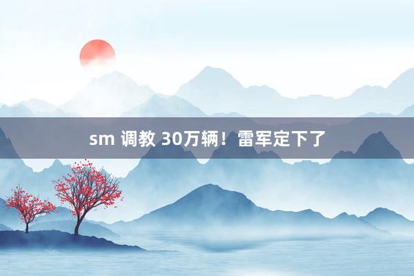 sm 调教 30万辆！雷军定下了