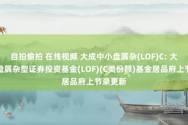 自拍偷拍 在线视频 大成中小盘羼杂(LOF)C: 大成中小盘羼杂型证券投资基金(LOF)(C类份额)基金居品府上节录更新