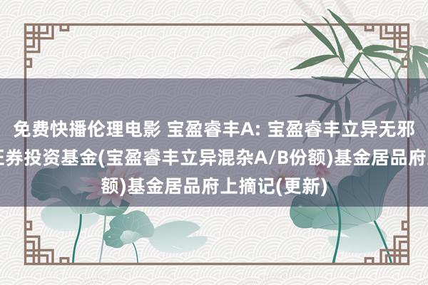 免费快播伦理电影 宝盈睿丰A: 宝盈睿丰立异无邪建立混杂型证券投资基金(宝盈睿丰立异混杂A/B份额)基金居品府上摘记(更新)