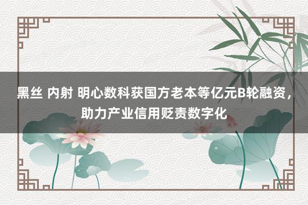 黑丝 内射 明心数科获国方老本等亿元B轮融资，助力产业信用贬责数字化