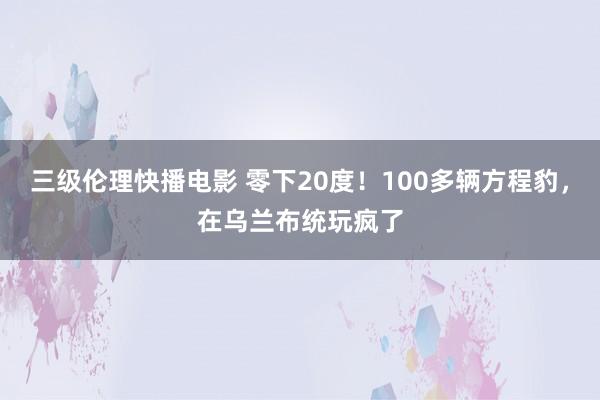 三级伦理快播电影 零下20度！100多辆方程豹，在乌兰布统玩疯了