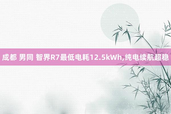 成都 男同 智界R7最低电耗12.5kWh，纯电续航超稳