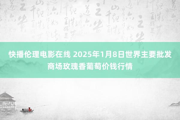 快播伦理电影在线 2025年1月8日世界主要批发商场玫瑰香葡萄价钱行情