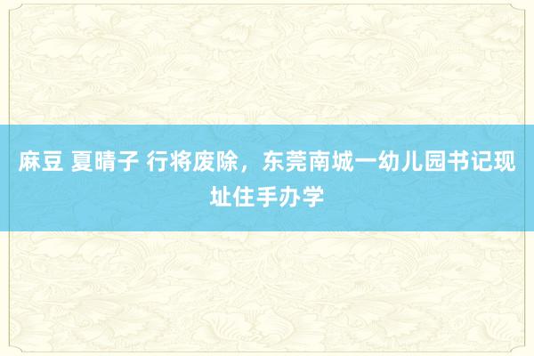 麻豆 夏晴子 行将废除，东莞南城一幼儿园书记现址住手办学