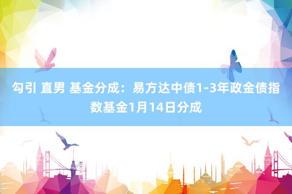 勾引 直男 基金分成：易方达中债1-3年政金债指数基金1月14日分成