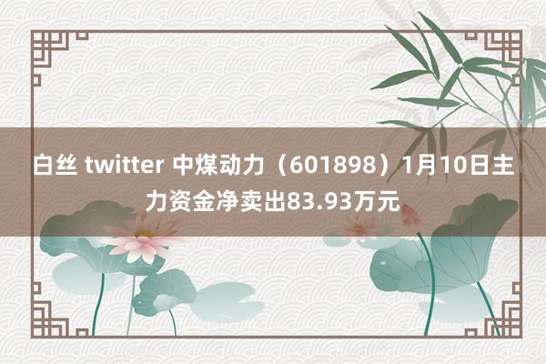 白丝 twitter 中煤动力（601898）1月10日主力资金净卖出83.93万元