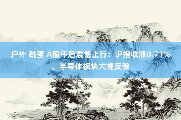 户外 跳蛋 A股午后震憾上行：沪指收涨0.71%，半导体板块大幅反弹