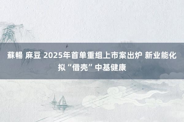 蘇暢 麻豆 2025年首单重组上市案出炉 新业能化拟“借壳”中基健康