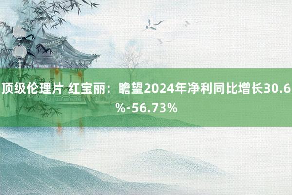 顶级伦理片 红宝丽：瞻望2024年净利同比增长30.6%-56.73%