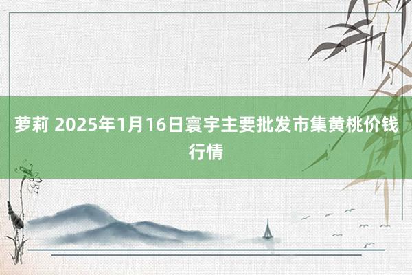 萝莉 2025年1月16日寰宇主要批发市集黄桃价钱行情